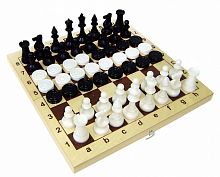 Игра 2 в 1 (шахматы, шашки) (295х145мм), 02-119