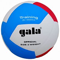��� �������� Gala TRAINING 12 BV5565SB