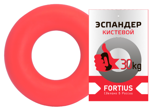 ��������-������ FORTIUS 30��