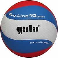 Мяч волейбол  Gala PRO-LINE 10 BV5581SA
