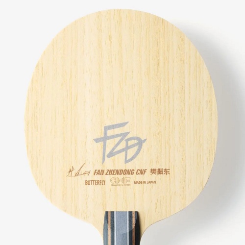   Butterfly Fan Zhendong CNF  2