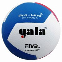 Мяч волейбольный GALA Pro-line BV5595S (одобрен FIVB)